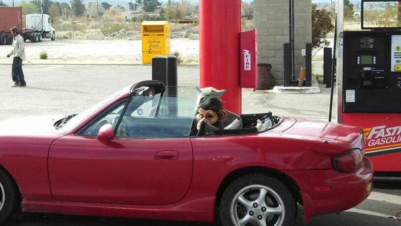 Name: uploadfromtaptalk1392915965179.jpg
Views: 191
Size: 53.1 KB