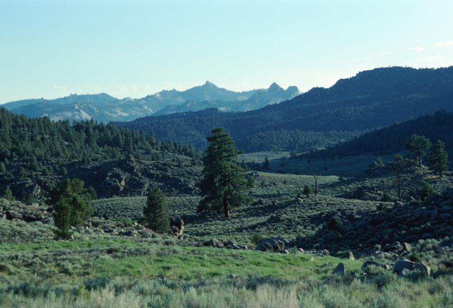 Name: zKennedy_Mdws2_VIII-1978.jpg
Views: 134
Size: 79.6 KB