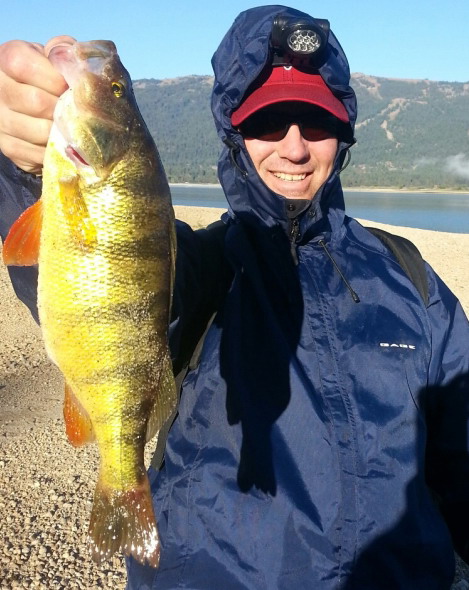 Name:  big perch.jpg
Views: 161
Size:  95.5 KB