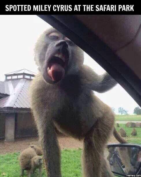 Name: Miley.jpg
Views: 802
Size: 35.4 KB