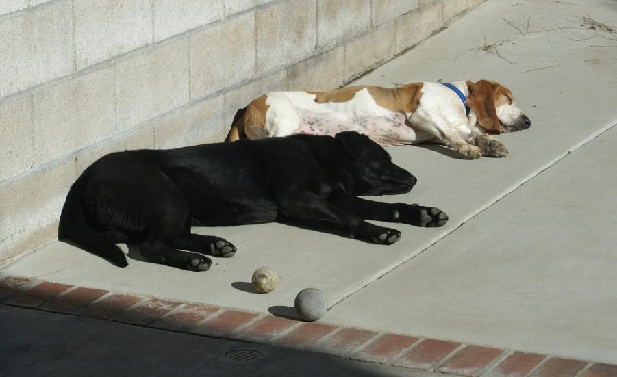 Name: DSC00494 - Copy.jpg
Views: 322
Size: 52.5 KB