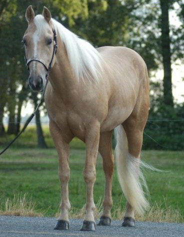 Name: 30528_1473556844267_3813686_n.jpg
Views: 229
Size: 38.8 KB