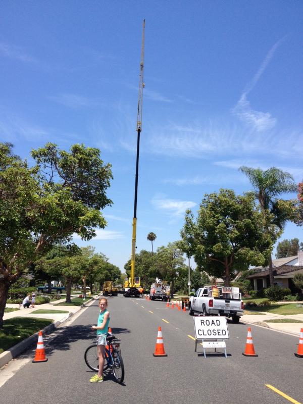 Name: hill crane 2.jpg
Views: 246
Size: 79.1 KB