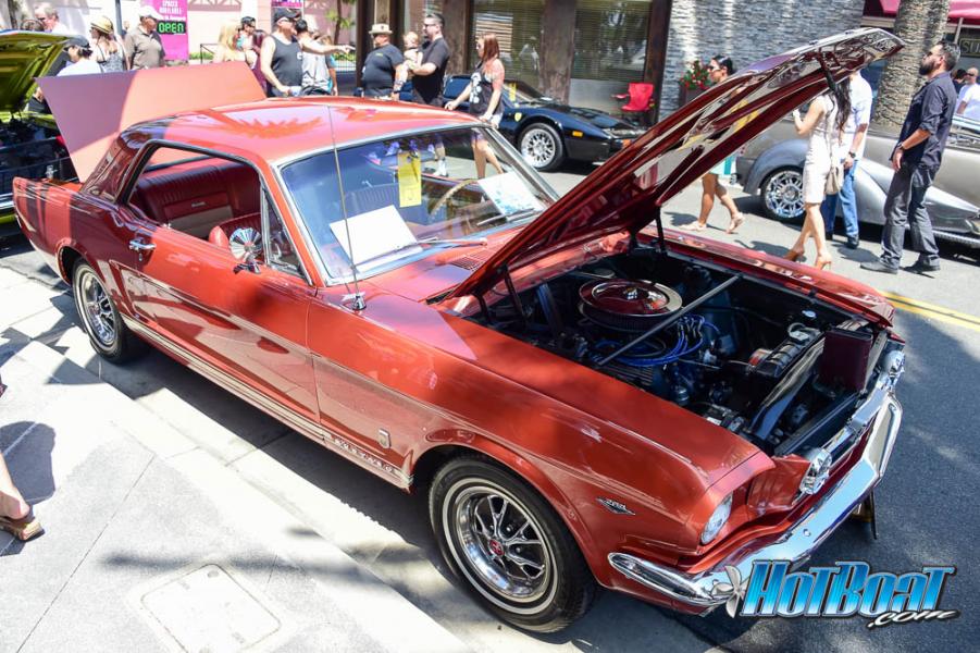 Name: DSC_0417.jpg
Views: 394
Size: 118.7 KB