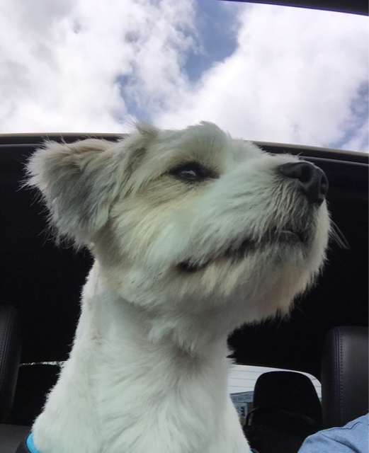 Name: ImageUploadedByTapatalk1436828807.864488.jpg
Views: 283
Size: 283.0 KB