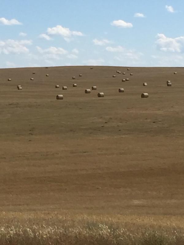 Name: ImageUploadedByTapatalk1441742420.868930.jpg
Views: 188
Size: 35.6 KB