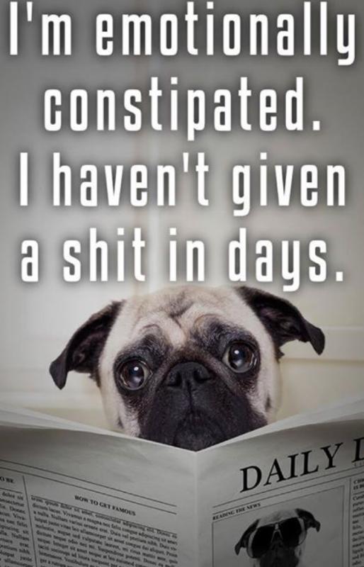 Name: ImageUploadedByTapatalk1446822328.694741.jpg
Views: 262
Size: 51.1 KB