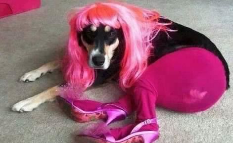 Name: IMG9522053611212490501.jpg
Views: 148
Size: 28.4 KB