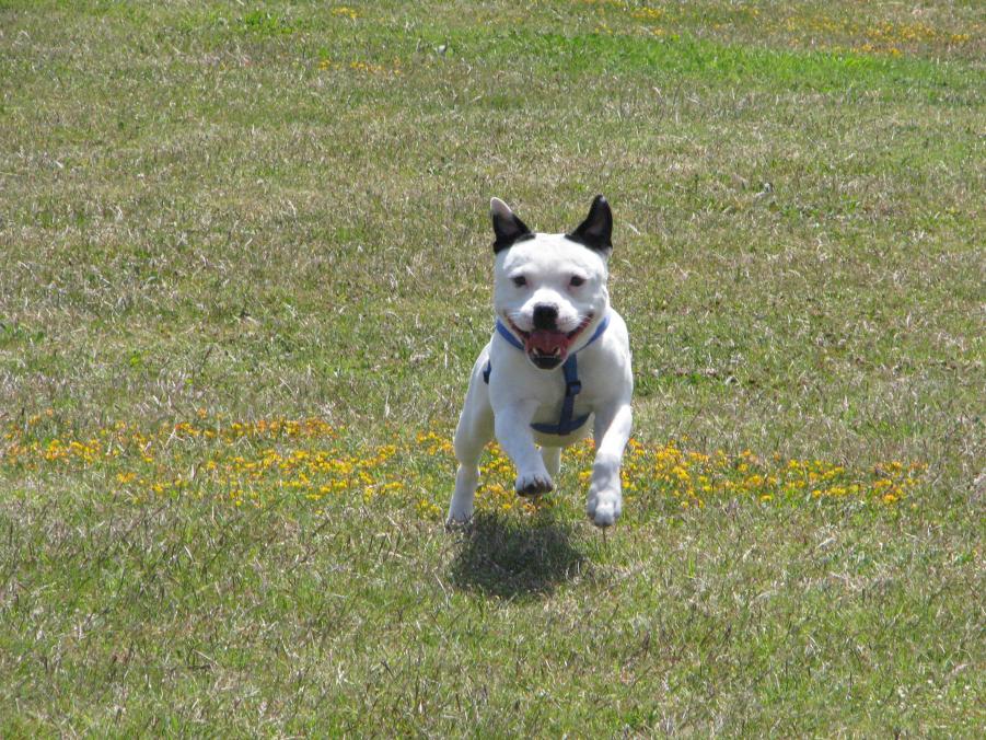 Name: IMG_0245.jpg
Views: 328
Size: 164.3 KB