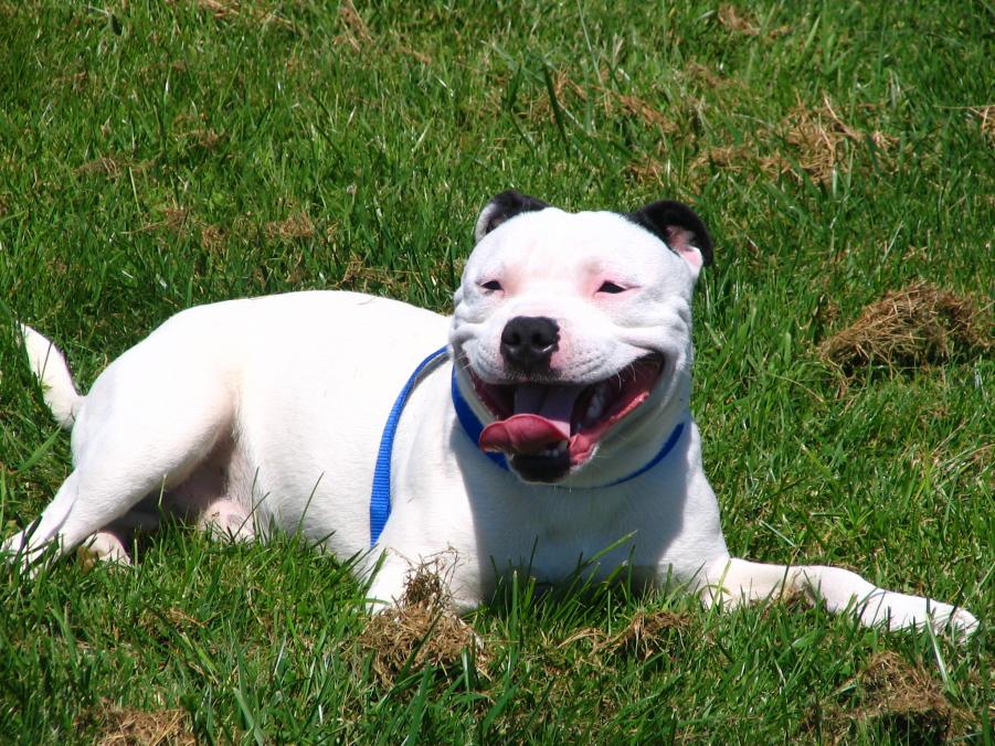 Name: IMG_0831.jpg
Views: 299
Size: 153.3 KB