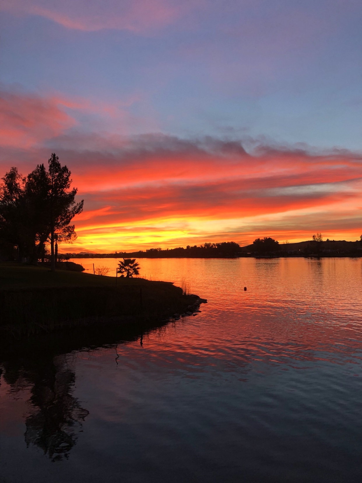 Name: IMG_8860.JPG
Views: 363
Size: 426.2 KB