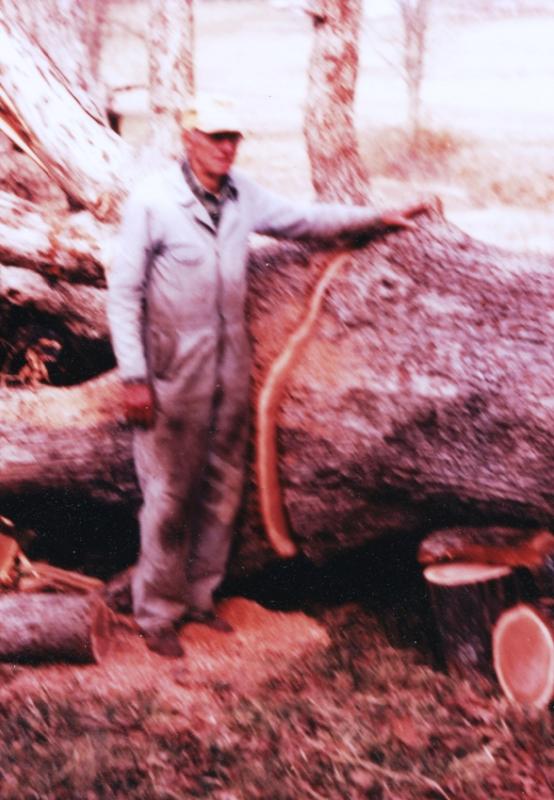 Name: grandpa bandy sawing logs small.jpg
Views: 325
Size: 63.4 KB