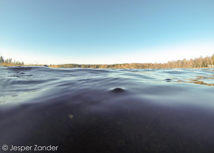 Name: GOPR0046.jpg
Views: 278
Size: 39.5 KB