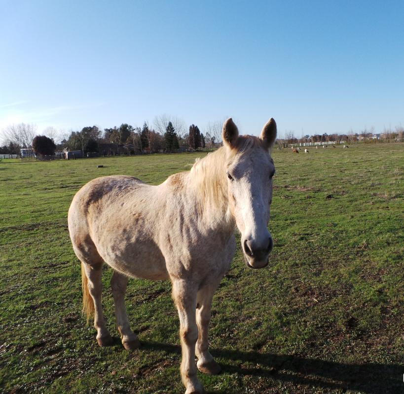 Name: 20140216_081442.jpg
Views: 440
Size: 120.1 KB