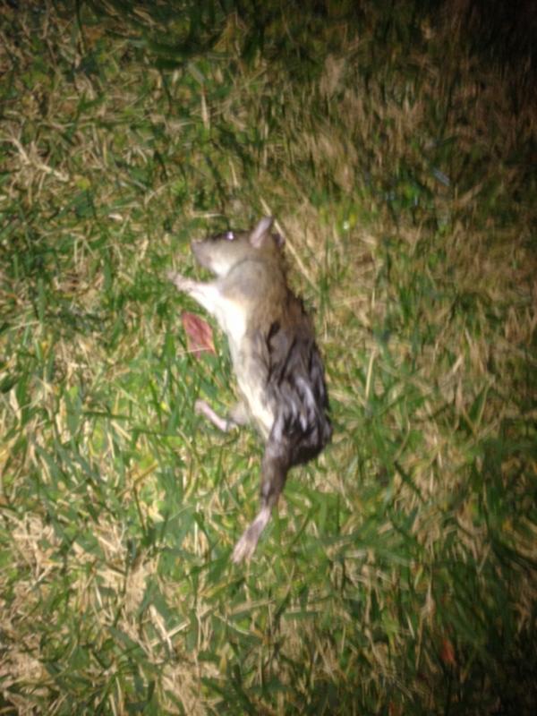 Name: ImageUploadedByTapatalk1421637206.517671.jpg
Views: 190
Size: 78.5 KB