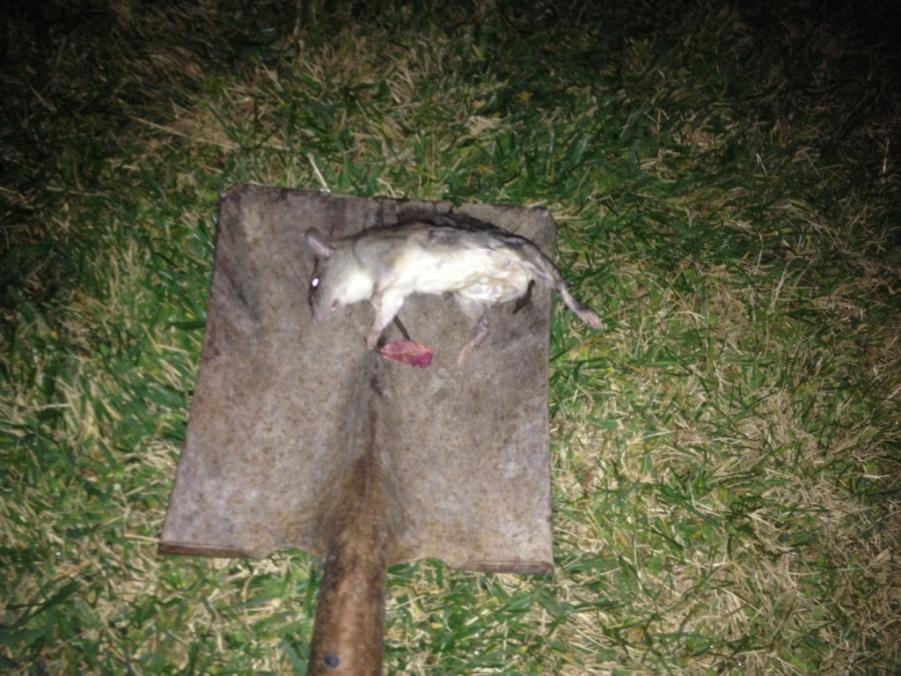 Name: ImageUploadedByTapatalk1421637226.475185.jpg
Views: 189
Size: 104.6 KB