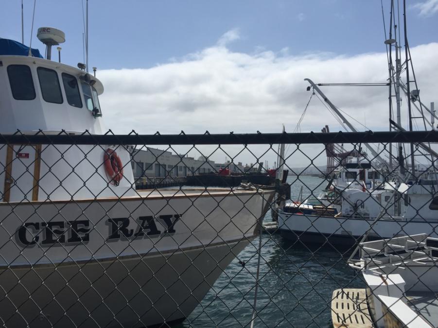 Name: ImageUploadedByTapatalk1431032691.325773.jpg
Views: 110
Size: 85.6 KB