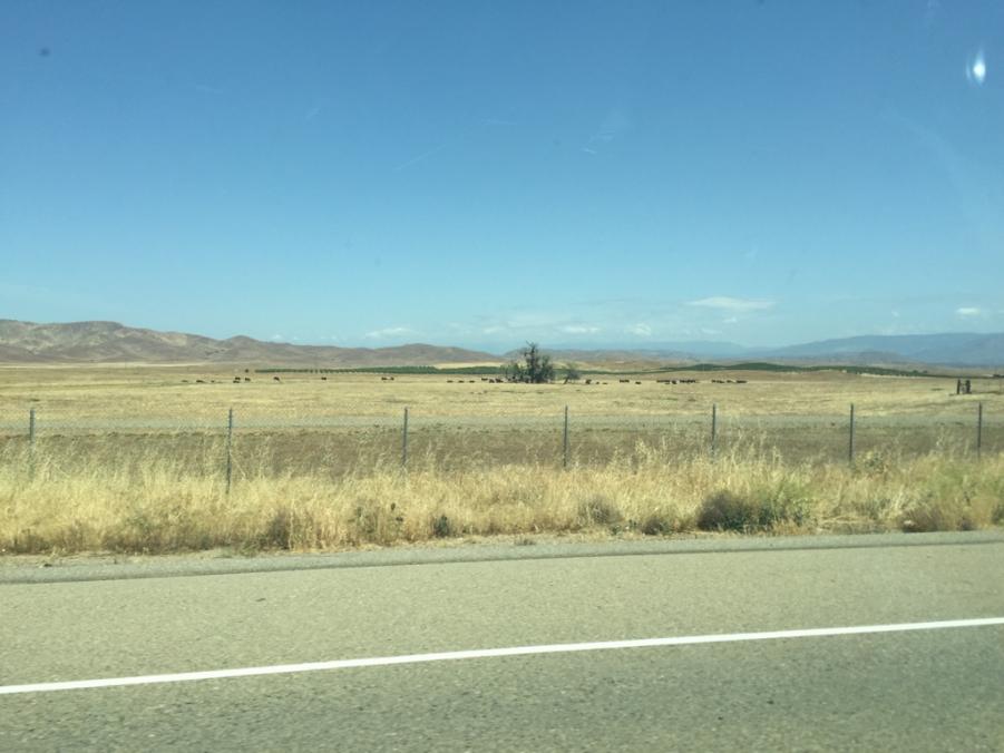 Name: ImageUploadedByTapatalk1431456777.989626.jpg
Views: 295
Size: 61.1 KB