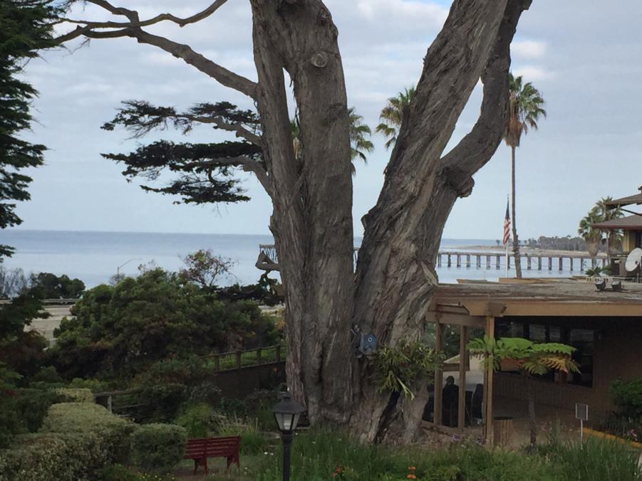 Name: ImageUploadedByTapatalk1441404833.855523.jpg
Views: 335
Size: 90.1 KB