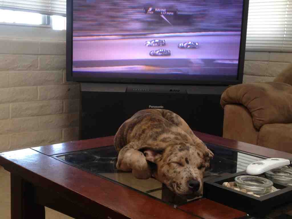 Name: ImageUploadedByTapatalk1363549869.948131.jpg
Views: 356
Size: 70.7 KB