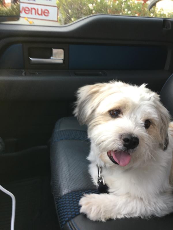 Name: ImageUploadedByTapatalk1445731125.506956.jpg
Views: 228
Size: 41.6 KB