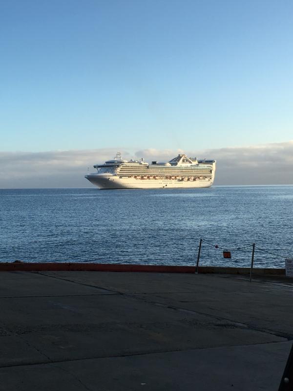 Name: ImageUploadedByTapatalk1446478832.493748.jpg
Views: 249
Size: 44.5 KB