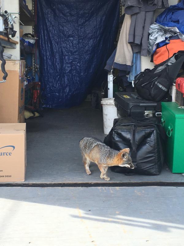 Name: ImageUploadedByTapatalk1452714273.032573.jpg
Views: 223
Size: 60.9 KB