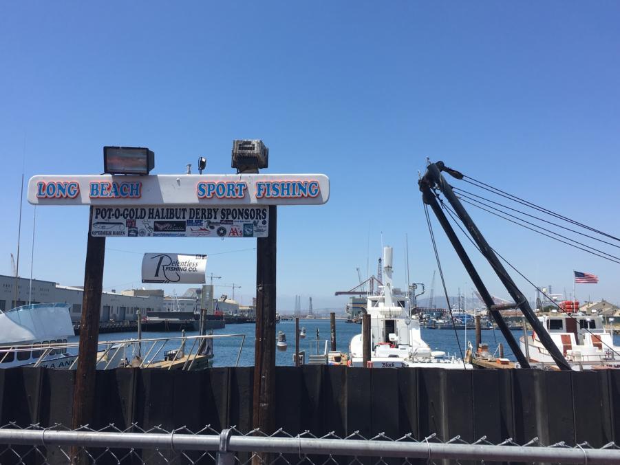 Name: IMG_1300.jpg
Views: 312
Size: 72.4 KB