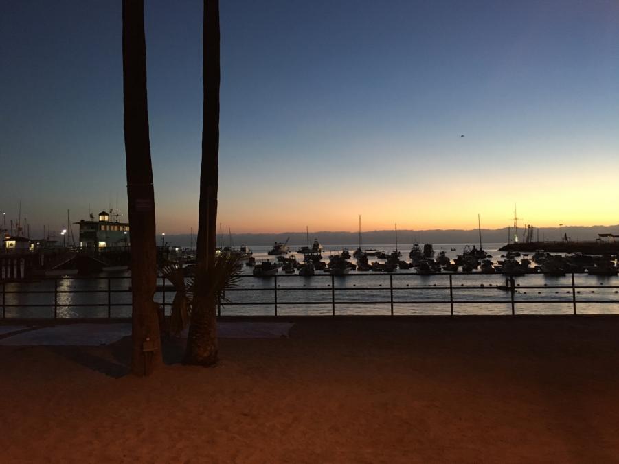 Name: IMG_1409.jpg
Views: 139
Size: 44.1 KB