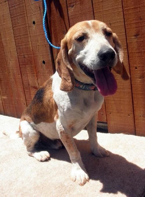 Name: butters.jpg
Views: 722
Size: 62.5 KB