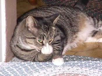 Name: 46677_152303701466156_96032_n.jpg
Views: 267
Size: 28.2 KB