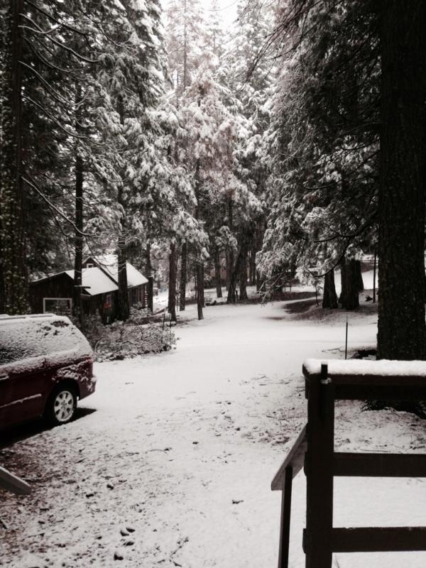 Name: ImageUploadedByTapatalk1429973968.223685.jpg
Views: 172
Size: 100.6 KB