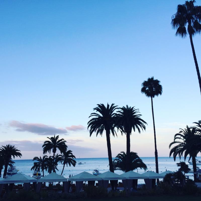 Name: ImageUploadedByTapatalk1441289963.805237.jpg
Views: 232
Size: 60.7 KB