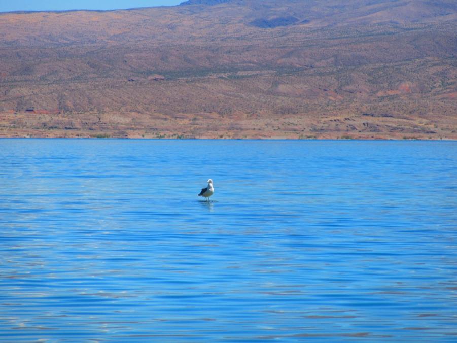 Name: IMG_0282.jpg
Views: 225
Size: 81.5 KB