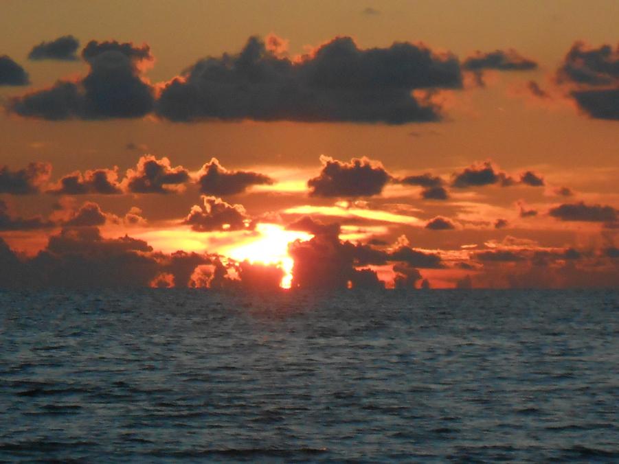 Name:  FL. Sunsets, Greg & Mary 2013 018.jpg
Views: 227
Size:  62.6 KB