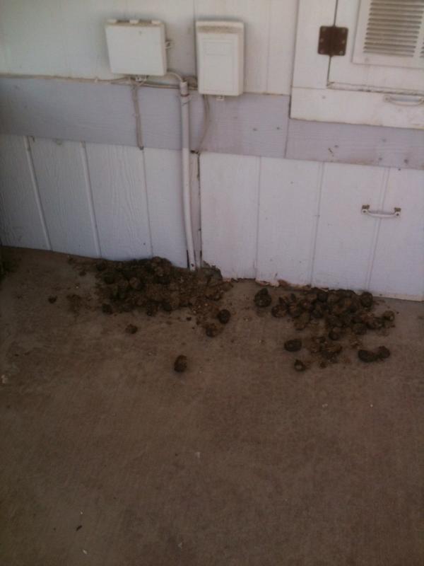 Name: shit.jpg
Views: 216
Size: 36.0 KB