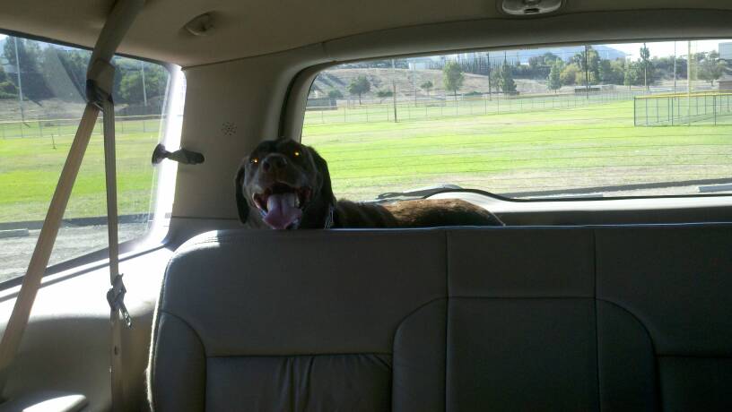 Name: uploadfromtaptalk1383942610534.jpg
Views: 244
Size: 38.0 KB