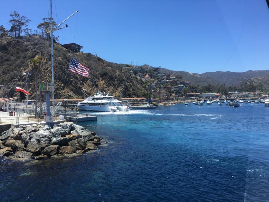 Name: IMG_1130.jpg
Views: 238
Size: 95.8 KB