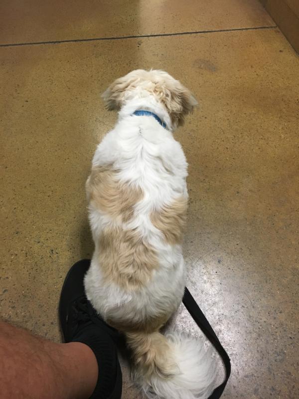 Name: IMG_1906.jpg
Views: 562
Size: 63.0 KB