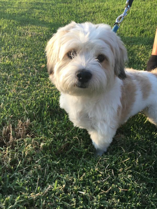 Name: IMG_1918.jpg
Views: 568
Size: 114.2 KB