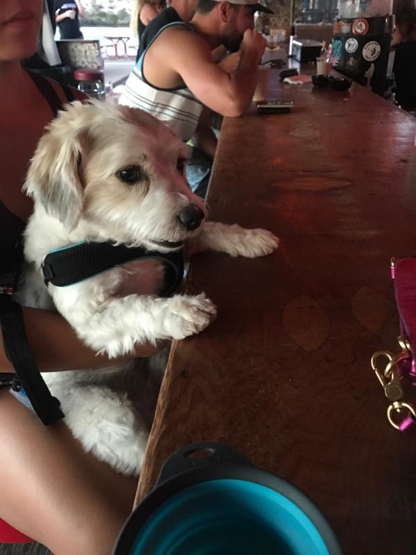 Name: IMG_3105.jpg
Views: 227
Size: 51.0 KB