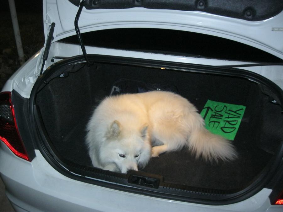 Name: IMG_3194.jpg
Views: 328
Size: 60.4 KB