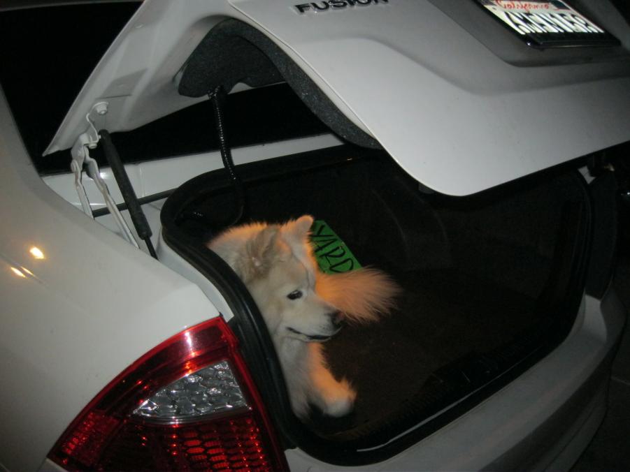 Name: IMG_3196.jpg
Views: 322
Size: 50.7 KB