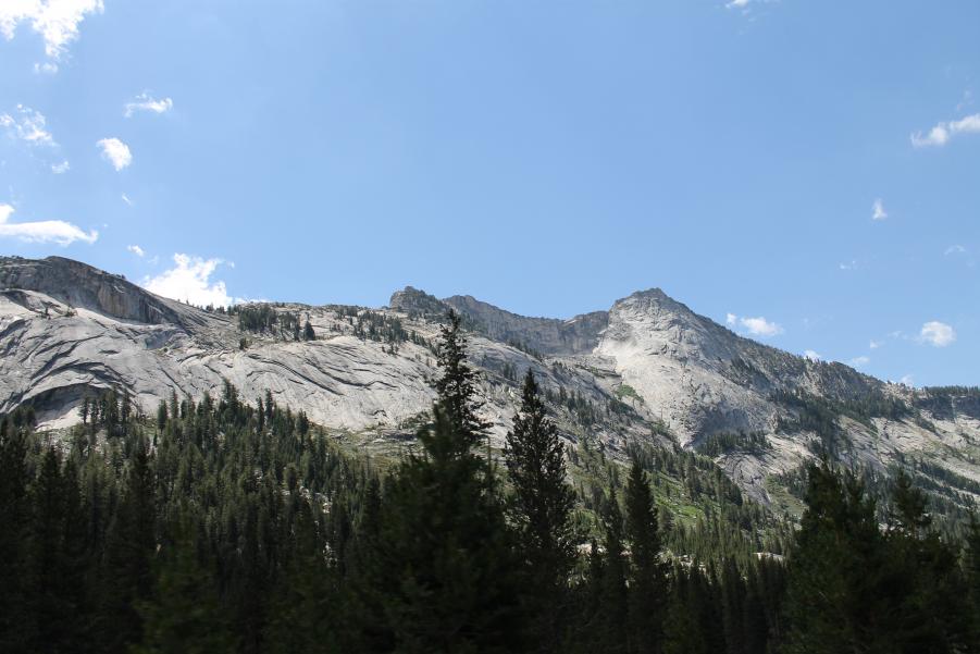 Name: 049.jpg
Views: 170
Size: 67.9 KB