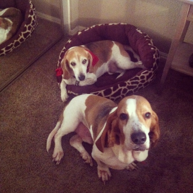 Name:  ImageUploadedByTapatalk1383003485.597398.jpg
Views: 743
Size:  116.9 KB