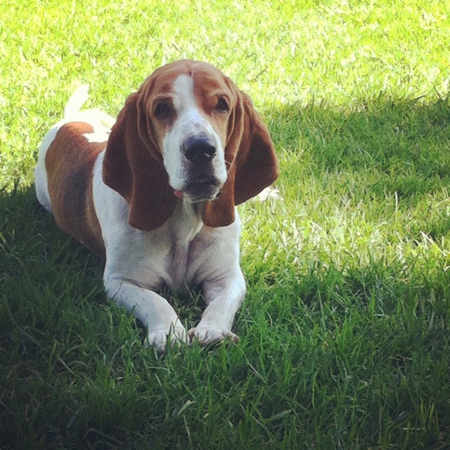 Name:  ImageUploadedByTapatalk1383003513.613760.jpg
Views: 743
Size:  147.8 KB