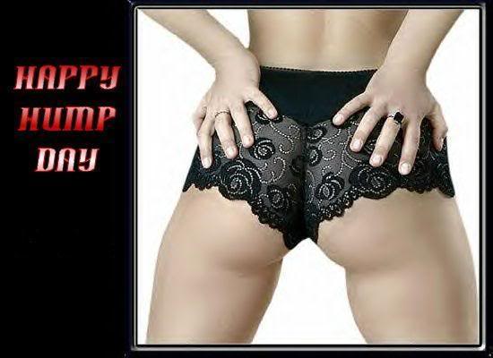 Name:  hump day.jpg
Views: 182
Size:  29.3 KB
