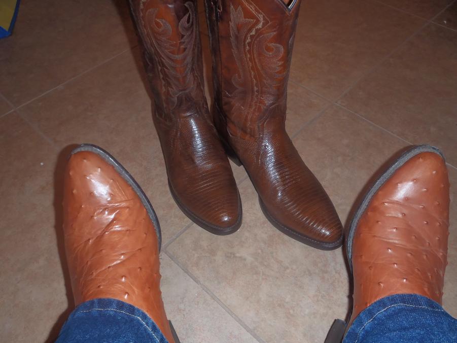 Name: christmas 016.jpg
Views: 142
Size: 64.4 KB