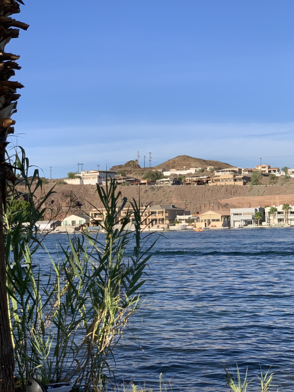 Name:  IMG_8419.jpg
Views: 1470
Size:  542.4 KB