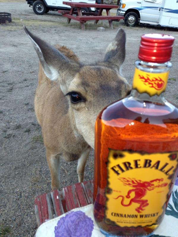 Name: ImageUploadedByTapatalk1376278221.969166.jpg
Views: 159
Size: 84.0 KB